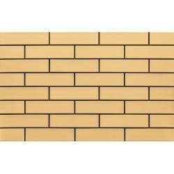 Cerrad Piaskowa Płytka elewacyjna 6,5x24,5 cm